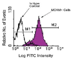 MCAM, Mouse, PE, Clone: c264, Abnova 100 &mu;g | Buy Online | Abnova | Fisher Scientific