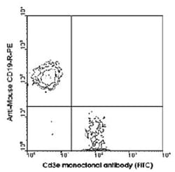 Cd3e, Hamster, FITC, Clone: 145-2C11, Abnova 100&mu;g; FITC:Antibodies,