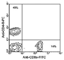 Cd4, Rat, PE-TXRD, Clone: GK1.5, Abnova 100&mu;g; PE-TXRD:Antibodies, Monoclonal