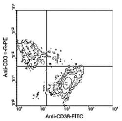 Cd38, Rat, FITC, Clone: 90, Abnova 500&mu;g; FITC:Antibodies, Monoclonal