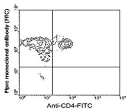 Ptprc, Rat, Biotin, Clone: I3/2.3, Abnova 500&mu;g; Biotin:Antibodies,