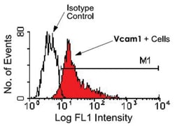 Vcam1, Rat, FITC, Clone: M/K-2, Abnova 500 &mu;g | Buy Online | Abnova | Fisher Scientific
