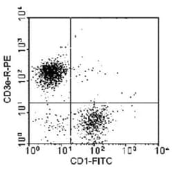 CD1, Mouse, Clone: 76-7-4, Abnova 500&mu;g; Unlabeled:Antibodies, Monoclonal