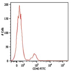 CD40, Mouse, Clone: HI40a, Abnova 100&mu;g; Unlabeled:Antibodies, Monoclonal