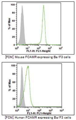 Fcamr, Mouse, Clone: TX61, Abnova 50 &mu;g | Buy Online | Abnova Corporation | Fisher Scientific