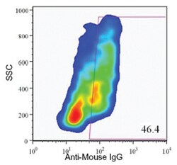 Endocrine cell marker, Mouse, Clone: HIC1-7H10, Abnova 100 &mu;L | Buy Online | Abnova Corporation | Fisher Scientific