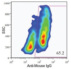 Endocrine cell marker, Mouse, Clone: HIC0-4F9, Abnova 100 &mu;L | Buy Online | Abnova | Fisher Scientific