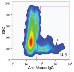 Pancreatic duct cell marker, Mouse, Clone: DHIC2-4A10, Abnova 100&mu;L;