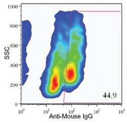 Pancreatic alpha cell marker, Mouse, Clone: DHIC2-2B4, Abnova 100 &mu;L | Buy Online | Abnova Corporation | Fisher Scientific