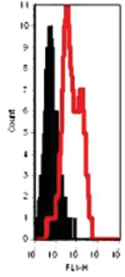 Tlr12 Rabbit anti-Mouse, Polyclonal Antibody, Abnova 100 &mu;g | Buy Online | Abnova | Fisher Scientific