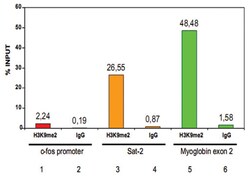 histone H3 (dimethylated lysine 9), Rabbit, Polyclonal Antibody, Abnova 50 &mu;g | Buy Online | Abnova Corporation | Fisher Scientific