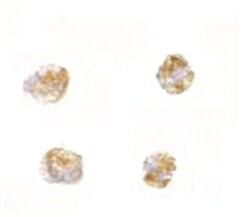 PARL, Rabbit, Polyclonal Antibody, Abnova 100&mu;g; Unlabeled:Antibodies,