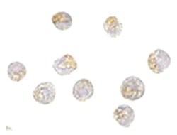 NUP107 Rabbit anti-Human, Rat, Polyclonal Antibody, Abnova 100 &mu;g | Buy Online | Abnova | Fisher Scientific