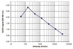 H3K79me2, Rabbit, Polyclonal Antibody, Abnova 100 &mu;L | Buy Online | Abnova Corporation | Fisher Scientific