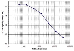 Brd2, Rabbit, Polyclonal Antibody, Abnova 100 &mu;L | Buy Online | Abnova | Fisher Scientific