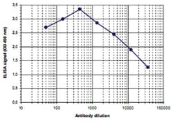 H4K8ac, Rabbit, Polyclonal Antibody, Abnova 100 &mu;L | Buy Online | Abnova Corporation | Fisher Scientific