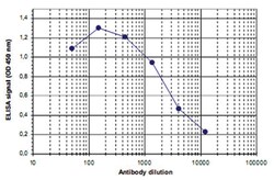 JMJD2B (KDM4B) Rabbit anti-Human, Polyclonal Antibody, Abnova 100 &mu;L | Buy Online | Abnova | Fisher Scientific