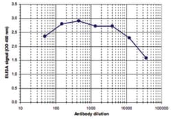 H3S10p, Rabbit, Polyclonal Antibody, Abnova 100 &mu;L | Buy Online | Abnova Corporation | Fisher Scientific