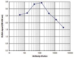 H3K36me2, Rabbit, Polyclonal Antibody, Abnova 100 &mu;L | Buy Online | Abnova Corporation | Fisher Scientific