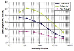 H3K27me2, Rabbit, Polyclonal Antibody, Abnova 50 &mu;g | Buy Online | Abnova Corporation | Fisher Scientific