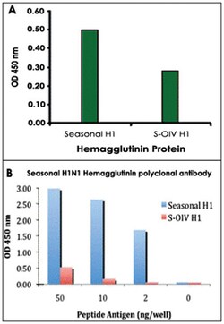 Seasonal H1N1 Hemagglutinin Rabbit anti-Viruses, Polyclonal Antibody, Abnova 100 &mu;g | Buy Online | Abnova Corporation | Fisher Scientific