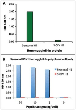 Seasonal H1N1 Hemagglutinin Rabbit anti-Viruses, Polyclonal Antibody, Abnova 100 &mu;g | Buy Online | Abnova Corporation | Fisher Scientific