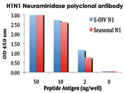 H1N1 Neuraminidase, Rabbit, Polyclonal Antibody, Abnova 100 &mu;g | Buy Online | Abnova Corporation | Fisher Scientific