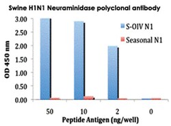 Swine H1N1 Neuraminidase, Rabbit, Polyclonal Antibody, Abnova 100 &mu;g | Buy Online | Abnova Corporation | Fisher Scientific