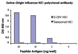 Swine-Origin Influenza NS1, Rabbit, Polyclonal Antibody, Abnova 100 &mu;g | Buy Online | Abnova Corporation | Fisher Scientific