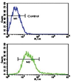 ADAM17 Rabbit anti-Human, Polyclonal Antibody, Abnova 400&mu;L; Unlabeled:Anticuerpos