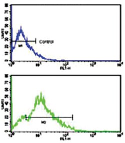 CD3G, Rabbit, Polyclonal Antibody, Abnova 400 &mu;L | Buy Online | Abnova Corporation | Fisher Scientific