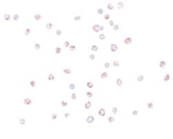 KPNA3, Rabbit, Polyclonal Antibody, Abnova 100 &mu;g | Buy Online | Abnova Corporation | Fisher Scientific