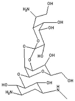 MP Biomedicals™ Hygromycin B
