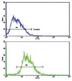 SOX9 Rabbit anti-Human, Polyclonal Antibody, Abnova 400 &mu;L | Buy Online | Abnova Corporation | Fisher Scientific