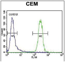 POLG, Rabbit, Polyclonal Antibody, Abnova 400 &mu;L | Buy Online | Abnova Corporation | Fisher Scientific