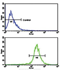 AXL Rabbit anti-Human, Polyclonal Antibody, Abnova 400 &mu;L | Buy Online | Abnova Corporation | Fisher Scientific