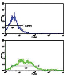 EPHA2, Rabbit, Polyclonal Antibody, Abnova 400 &mu;L | Buy Online | Abnova Corporation | Fisher Scientific