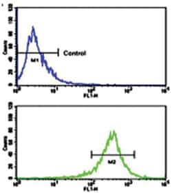 FGFR4, Rabbit, Polyclonal Antibody, Abnova 400 &mu;L | Buy Online | Abnova Corporation | Fisher Scientific