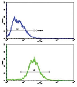 ALDH1A1 Rabbit anti-Human, Polyclonal Antibody, Abnova 400&mu;L; Unlabeled:Antibodies,