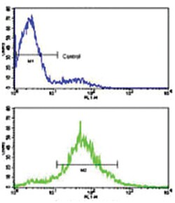 CDH10 Rabbit anti-Human, Polyclonal Antibody, Abnova 400 &mu;L | Buy Online | Abnova Corporation | Fisher Scientific
