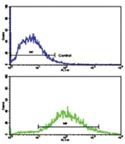 CD9 Rabbit anti-Human, Polyclonal Antibody, Abnova 400 &mu;L | Buy Online | Abnova Corporation | Fisher Scientific