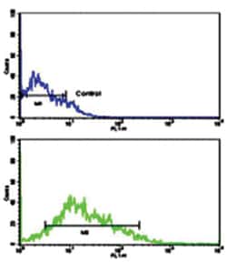 LIN28B Rabbit anti-Human, Polyclonal Antibody, Abnova 400 &mu;L | Buy Online | Abnova Corporation | Fisher Scientific
