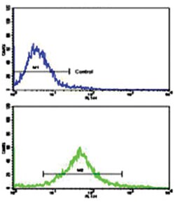 KIT Rabbit anti-Human, Monkey, Polyclonal Antibody, Abnova 400&mu;L; Unlabeled:Antikroppar