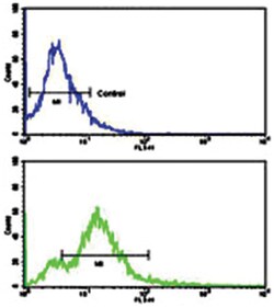 ACVR1B Rabbit anti-Human, Mouse, Polyclonal Antibody, Abnova 400&mu;L;