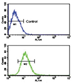 TLR2 Rabbit anti-Human, Polyclonal Antibody, Abnova 400 &mu;L | Buy Online | Abnova Corporation | Fisher Scientific