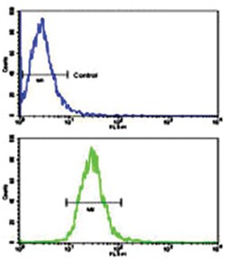 TLR6 Rabbit anti-Human, Polyclonal Antibody, Abnova 400 &mu;L | Buy Online | Abnova Corporation | Fisher Scientific
