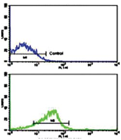 FREQ Rabbit anti-Human, Polyclonal Antibody, Abnova 400&mu;L; Unlabeled:Antibodies,