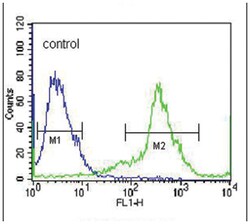 KLK6 Rabbit anti-Human, Polyclonal Antibody, Abnova 400 &mu;L | Buy Online | Abnova Corporation | Fisher Scientific