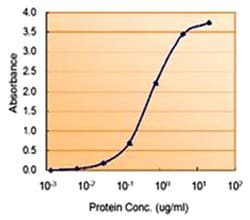 COMT Goat anti-Human, Polyclonal Antibody, Abnova 100&mu;g; Unlabeled:Antibodies,