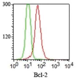 Bcl-2 Mouse, Clone: SPM117, Novus Biologicals:Antibodies:Primary Antibodies